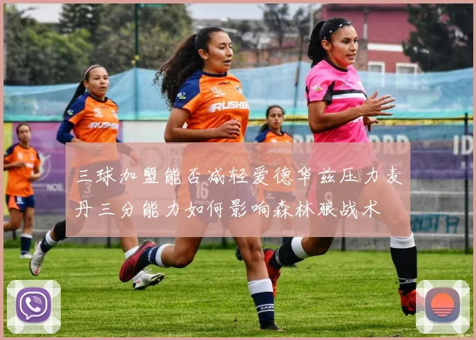 三球加盟能否减轻爱德华兹压力麦丹三分能力如何影响森林狼战术