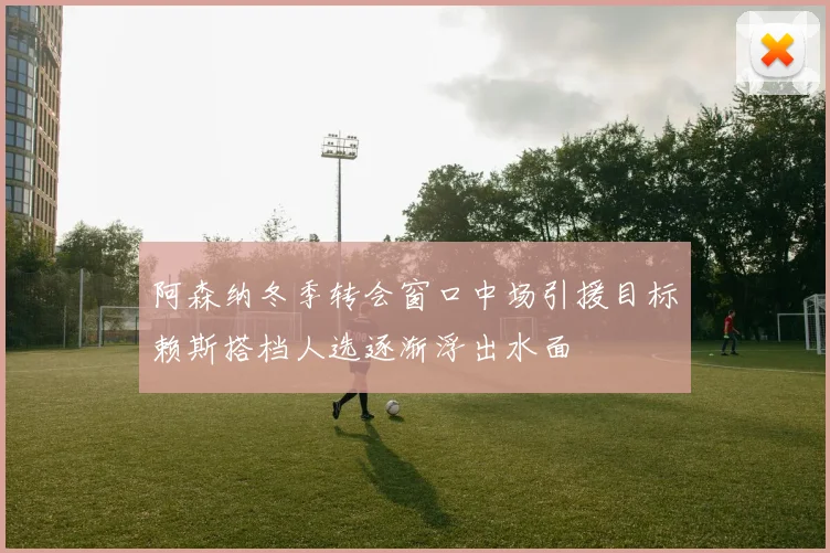 阿森纳冬季转会窗口中场引援目标赖斯搭档人选逐渐浮出水面